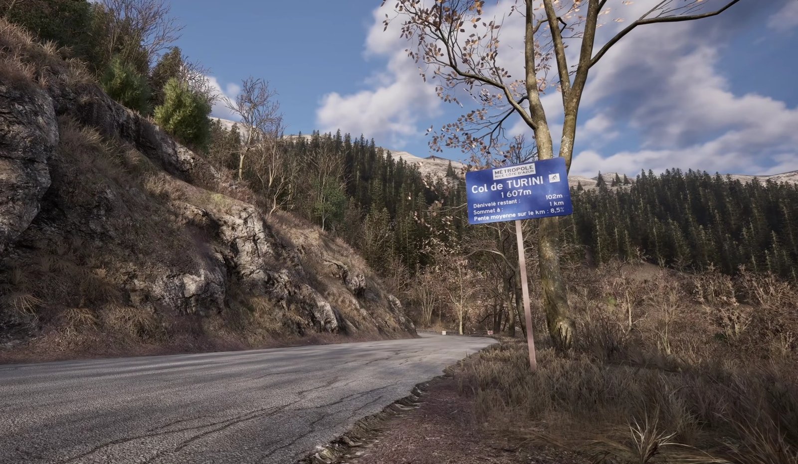 Imagen del col de turini del videojuego assetto corsa rally