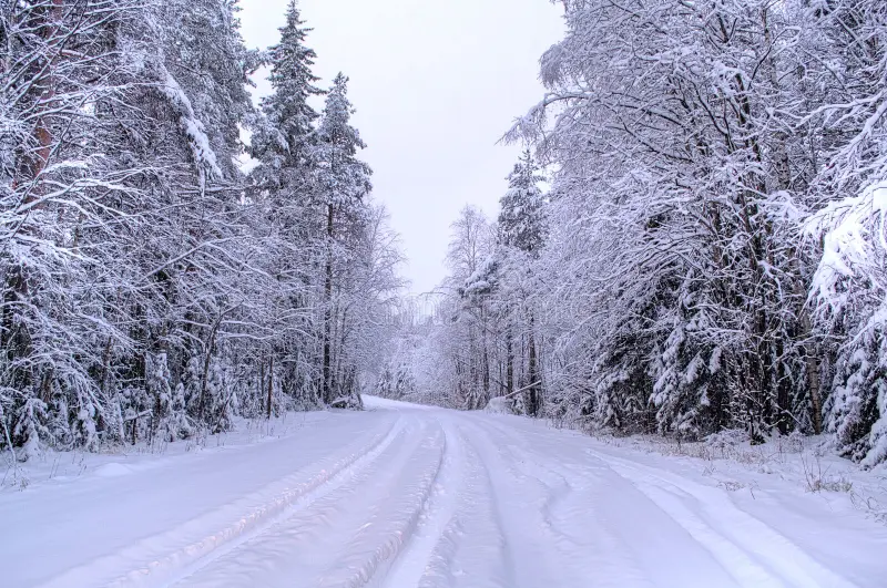Imagen de una carretera en un bosque nevado de Suecia